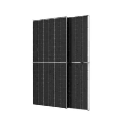 Module solaire à double verre Trina 645W 650W 655W 660W 665W Module photovoltaïque TSM-DEG21C.20